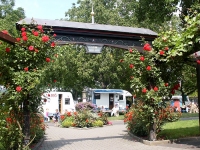 Campingplatz Rüdesheim am Rhein - Die Anlage